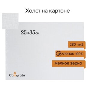 Холст на картоне Calligrata, хлопок 100%25 х 35 см, 3 мм, акриловый грунт, мелкое зерно, 280 г/м2