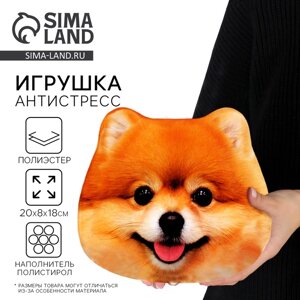 Игрушка антистресс, собака «Шпиц»