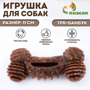 Игрушка для собак "Кость с шипами", TPR+Бамбук, 11 см