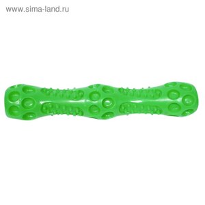 Игрушка для собак "Палка массажная"Зооник", пластизоль, 27 см, зелёная