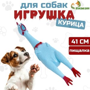 Игрушка пищащая "Задумчивая курица XL" для собак, 41 см, голубая