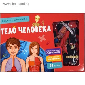 Интерактивная детская энциклопедия с магнитами «Тело человека»в коробке)