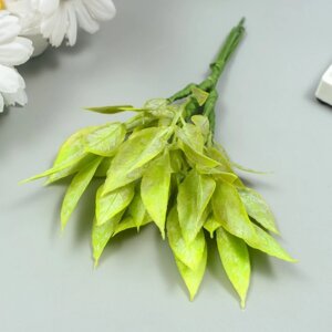 Искусственное растение для творчества "Рукус" 1 букет=6 веточек зелёный 13 см