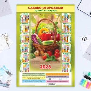 Календарь листовой А2 "Садово-огородный - 3" 2025 год, 42 х 60 см