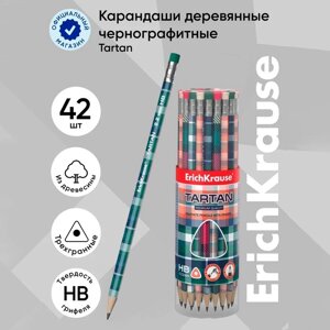 Карандаш чернографитный с ластиком ErichKrause "Tartan", HB, грифель d=2.2 мм, дерево, трeхгранный с принтом, в тубусе, микс