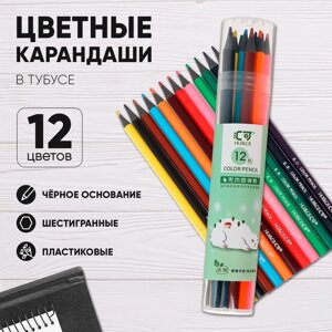 Карандаши 12 цветов в тубусе, шестигранные, пластиковые