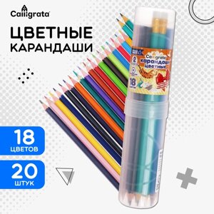 Карандаши 18 цветов Calligrata, ЭКОНОМ, заточенные, шестигранные, пластиковые, пенал-тубус и 2 чернографитных карандаша с ластиком в ПОДАРОК