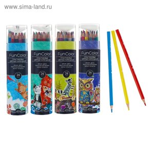 Карандаши цветные 24 цвета Funcolor пластиковые, в картонной тубе, МИКС