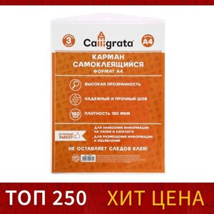 Карман самоклеящийся А4, 223 х 303 мм, комплект 3 штуки, Calligrata, 180 мкм, на лицевую сторону папок и любые гладкие поверхности