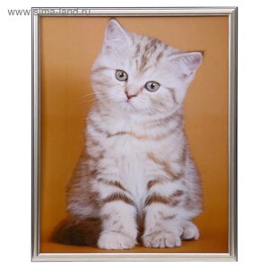 Картина "Котёнок" 43х53 см