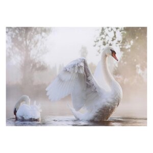 Картина "Лебеди" 50*70 см