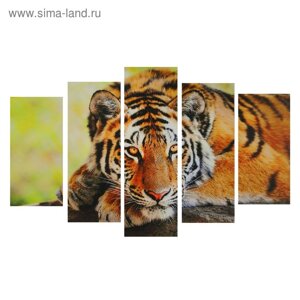 Картина модульная на подрамнике "Таинственность тигра" 2-25*52,2-25*66,1-25*8, 80*140 см