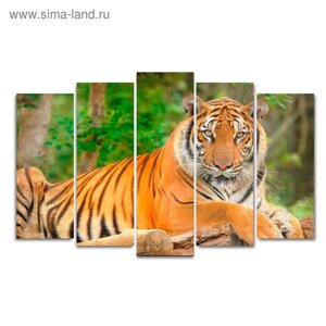 Картина модульная на подрамнике "Тигр"2-25х63; 2-25х70; 1-25х80) 125х80см