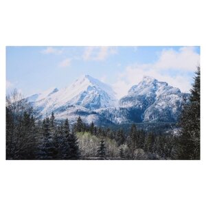 Картина на холсте "Горы в лесу" 60х100 см