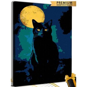 Картина по номерам «Кот при луне» холст на подрамнике, 40 50 см