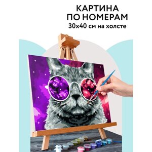 Картина по номерам на холсте 30 40 см «Кошачий космос», с акриловыми красками и кистями