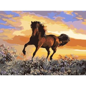Картина по номерам на холсте «Грациозный бег коня», 40 30 см