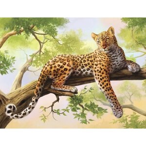 Картина по номерам на холсте с подрамником «Леопард», 40 30 см