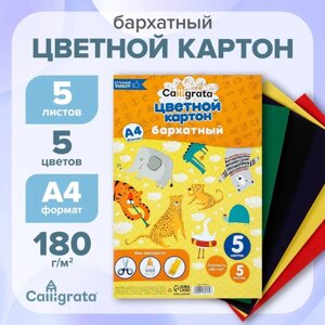 Картон бархатный А4, 5 листов, 5 цветов, 180 г/м2