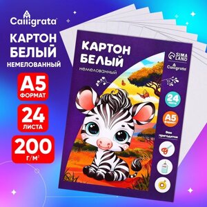 Картон белый А5, 24 листа, немелованный, плотность 200 г/м2, в папке