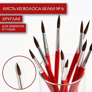 Кисть для рисования из волоса белка круглая № 6 (диаметр обоймы 4 мм; длина ворса 17 мм)