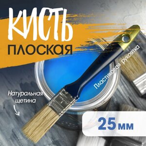 Кисть плоская ТУНДРА, натуральная щетина, пластиковая рукоятка, 1", 25 мм