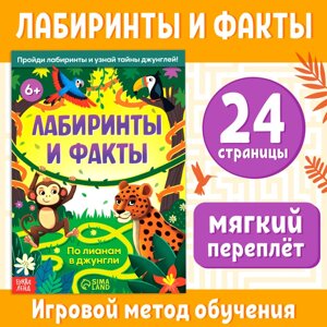 Книга «Лабиринты и факты. По лианам в джунгли», 24 стр.