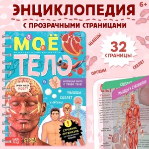 Книга с прозрачными страницами «Моё тело», 32 стр.