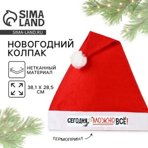 Колпак новогодний «Новый год: Сегодня можно всё! диам. 28 см.