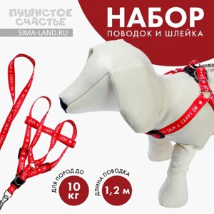 Комплект Keep calm & carry on, шлейка 36-49 см, поводок 120х1,5 см