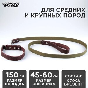 Комплект : ошейник (45-60х2.5 см) кожаный и поводок (150х2.5 см) брезентовый, цвет коричневый