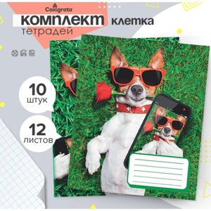 Комплект тетрадей из 10 штук, 12 листов в клетку Calligrata "СелфиDOG", обложка мелованная бумага, ВД-лак, блок офсет, 5 видов по 2 штуки