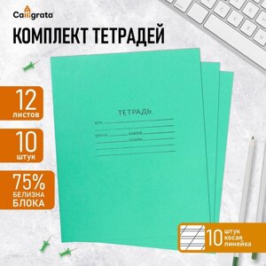 Комплект тетрадей из 10 штук, 12 листов в косую линию КПК "Зелёная обложка", блок №2, белизна 75%серые листы)