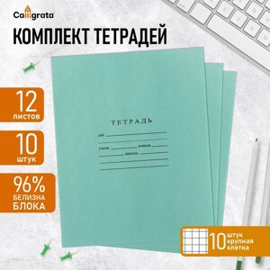 Комплект тетрадей из 10 штук, 12 листов в крупную клетку Бумажная фабрика "Зелёная обложка", 60 г/м2, блок офсет, белизна 96%