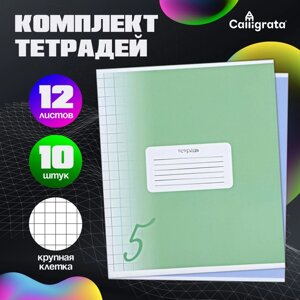 Комплект тетрадей из 10 штук, 12 листов в крупную клетку Calligrata "Пятёрка", обложка мелованный картон, ВД-лак, блок офсет, 5 видов по 2 штуки