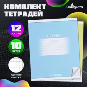 Комплект тетрадей из 10 штук, 12 листов в крупную клетку Calligrata "Школьная", обложка мелованный картон, ВД-лак, блок офсет, 5 видов по 2 штуки