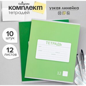 Комплект тетрадей из 10 штук, 12 листов в узкую линию Calligrata "Однотонная Новая школьная. Эконом", обложка мелованная бумага, ВД-лак, блок №2, белизна 75%серые листы), 5 видов по 2 штуки