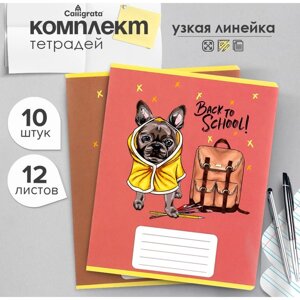 Комплект тетрадей из 10 штук, 12 листов в узкую линию Calligrata "Снова в школу", обложка мелованная бумага, ВД-лак, блок офсет, 5 видов по 2 штуки