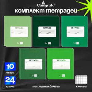 Комплект тетрадей из 10 штук, 24 листа в клетку Calligrata "Однотонная Новая Школьная", обложка мелованная бумага, ВД-лак, блок офсет, 5 видов по 2 штуки