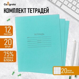 Комплект тетрадей из 20 штук, 12 листов в клетку КПК "Зелёная обложка", блок №2, белизна 75%серые листы)