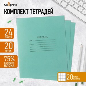 Комплект тетрадей из 20 штук, 24 листа в клетку КПК "Зелёная обложка", 60 г/м2, блок №2, белизна 75%серые листы)