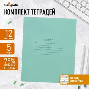 Комплект тетрадей из 5 штук, 12 листов в косую линию КПК "Зелёная обложка", блок №2, белизна 75%серые листы)