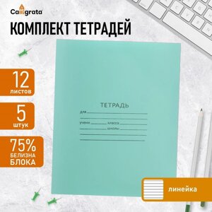 Комплект тетрадей из 5 штук, 12 листов в линию КПК "Зелёная обложка", блок №2, белизна 75%серые листы)