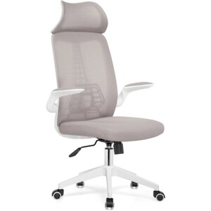 Компьютерное кресло Lokus пластик/сетка, белый/серый 66x65x114 см