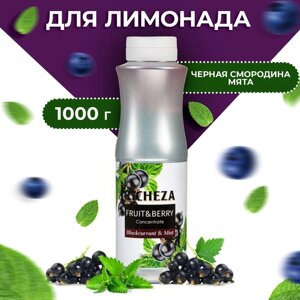 Концентрат RiCHEZA «Черная Смородина - Мята», 1000 г