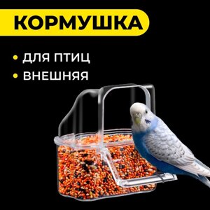 Кормушка для птиц внешняя, 6,7 х 6,2 х 8 см