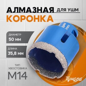 Коронка алмазная ТУНДРА, для УШМ, 50 х 35.8 мм, М14