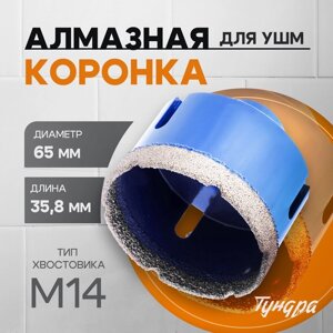 Коронка алмазная ТУНДРА, для УШМ, 65 х 35.8 мм, М14