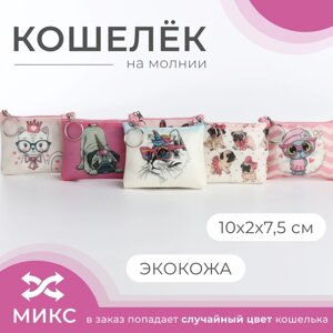 Кошелёк монетница детская на молнии «Выбражулька», цвет МИКС