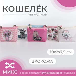 Кошелёк монетница детская на молнии «Выбражулька», цвет МИКС